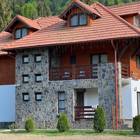 Pensiunea Pietrosul Rodnei Moisei Bagian luar foto