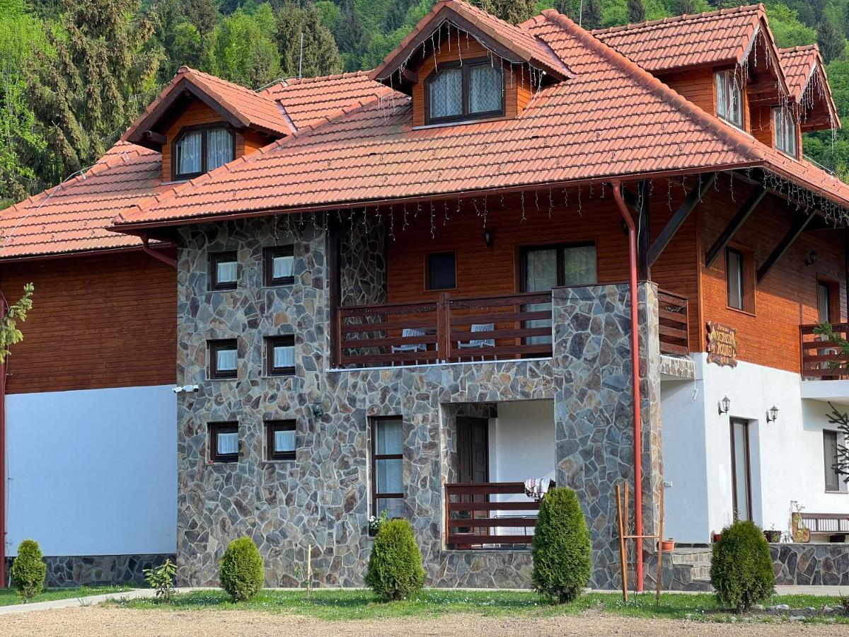 Pensiunea Pietrosul Rodnei Moisei Bagian luar foto