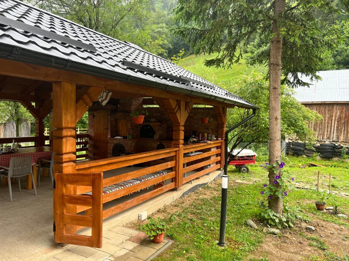 Pensiunea Pietrosul Rodnei Moisei Bagian luar foto