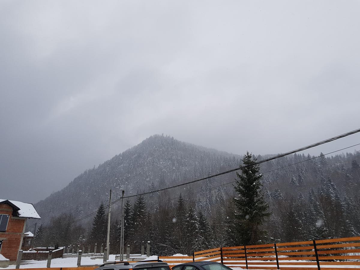 Pensiunea Pietrosul Rodnei Moisei Bagian luar foto