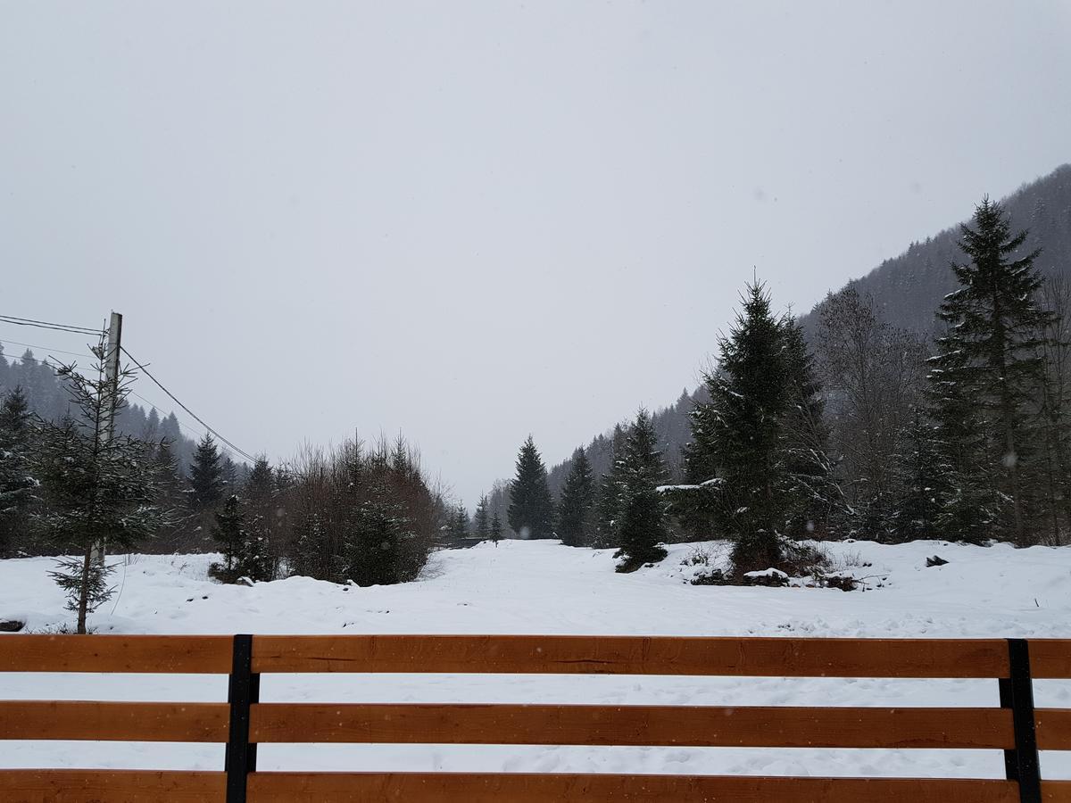 Pensiunea Pietrosul Rodnei Moisei Bagian luar foto