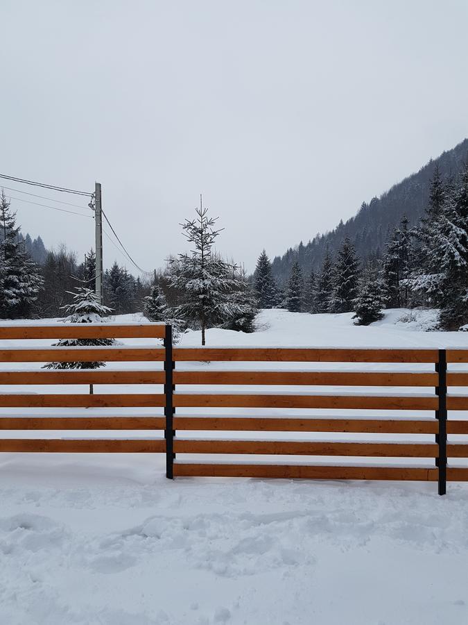 Pensiunea Pietrosul Rodnei Moisei Bagian luar foto