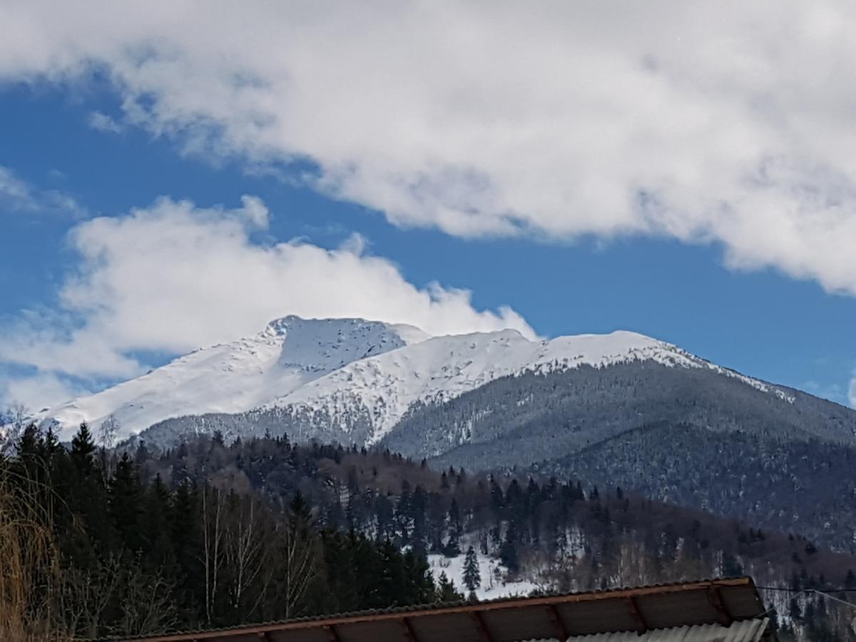 Pensiunea Pietrosul Rodnei Moisei Bagian luar foto