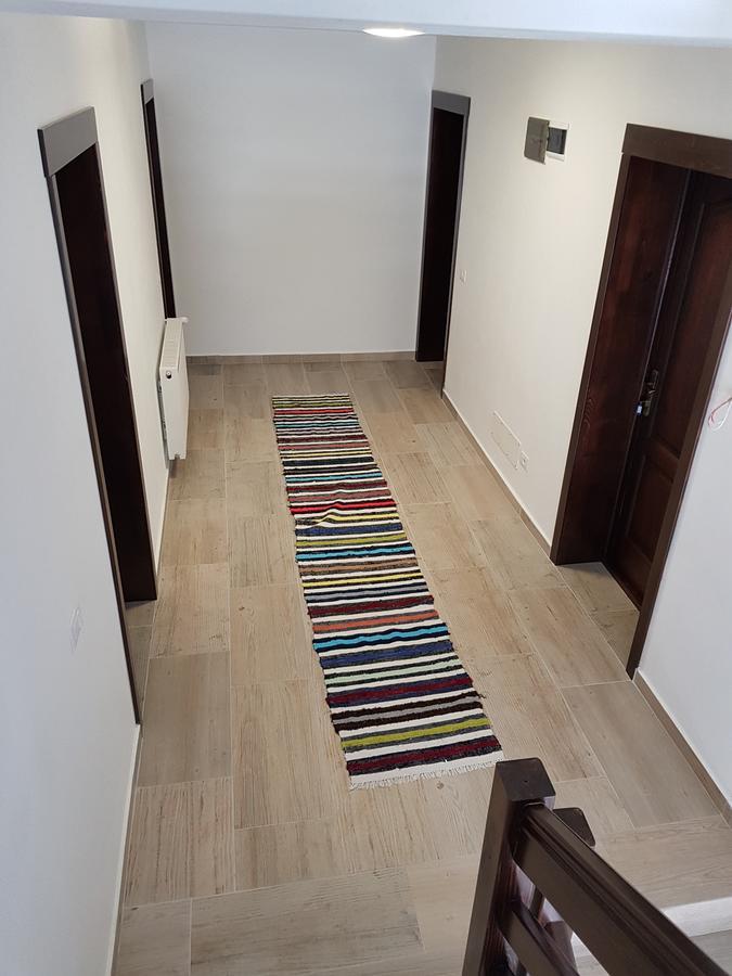 Pensiunea Pietrosul Rodnei Moisei Bagian luar foto