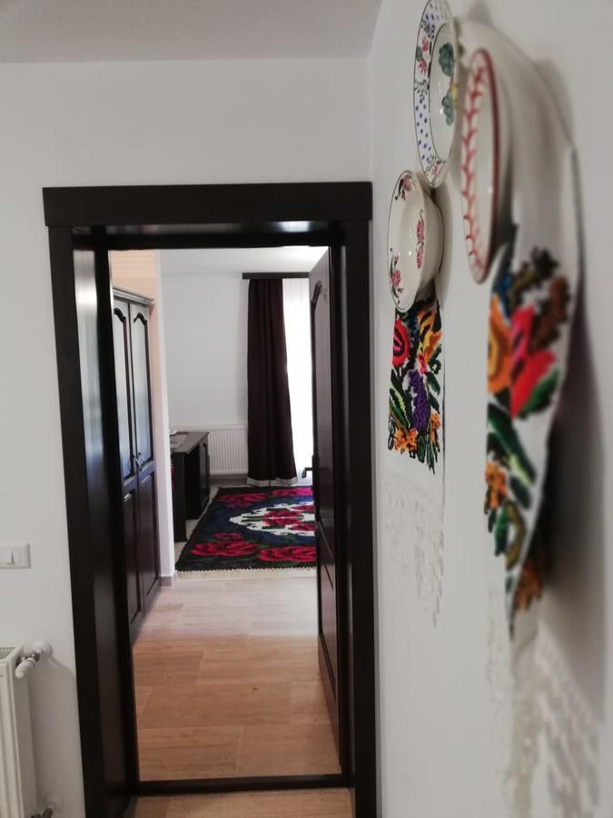 Pensiunea Pietrosul Rodnei Moisei Bagian luar foto