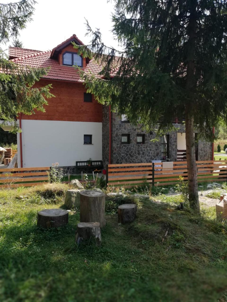 Pensiunea Pietrosul Rodnei Moisei Bagian luar foto