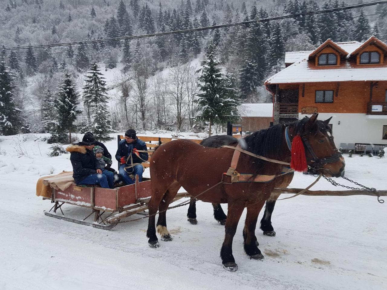 Pensiunea Pietrosul Rodnei Moisei Bagian luar foto
